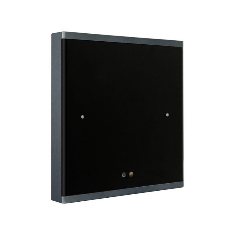 Panel-tactil-de-2-botones-Prism-Lite-modelo-EU-black-HDL-MPTF02.48-1